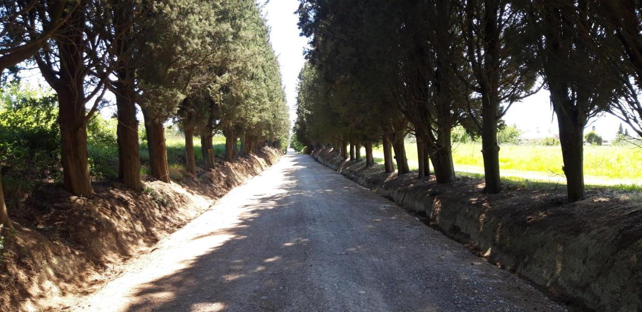 La Casa Della Pieve Vecchia Daire Marmigliaio Dış mekan fotoğraf