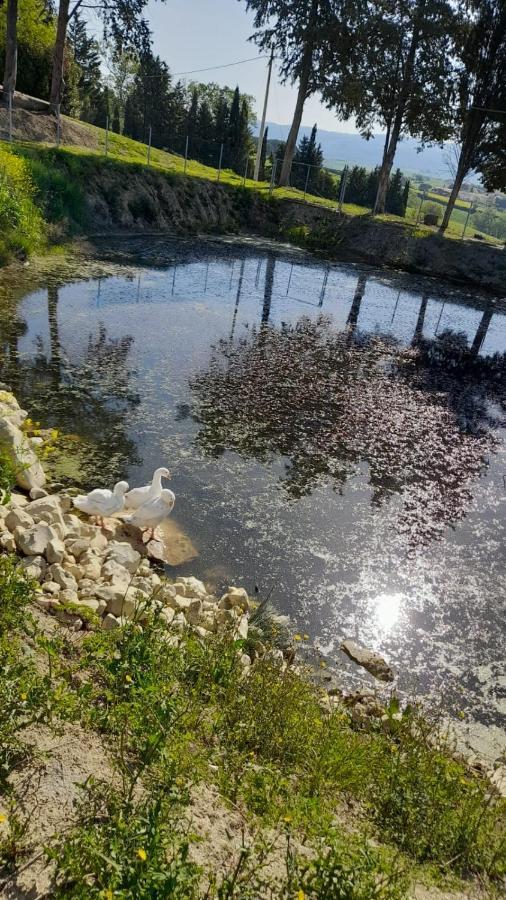 La Casa Della Pieve Vecchia Daire Marmigliaio Dış mekan fotoğraf
